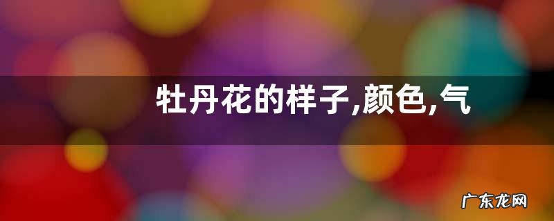 牡丹花的样子,颜色,气味,其他形状特点怎么描写形容