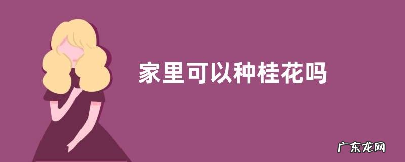 家里可以种桂花吗