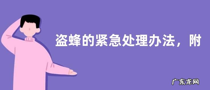 盗蜂的紧急处理办法,附具体方法