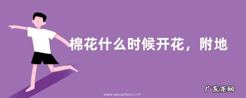 棉花什么时候开花，附地理分布