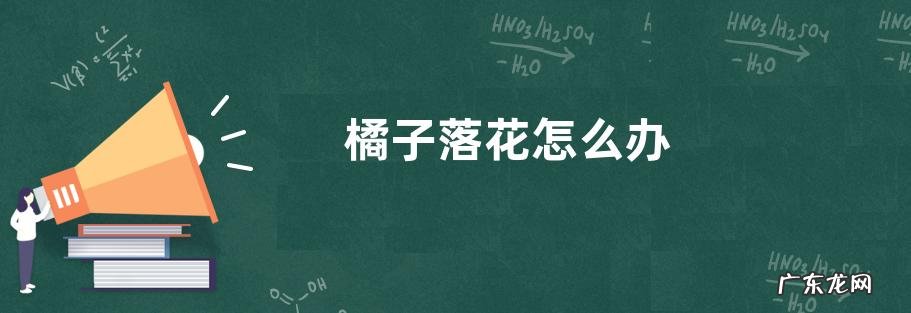 橘子落花怎么办