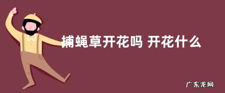 捕蝇草开花吗 开花什么样子