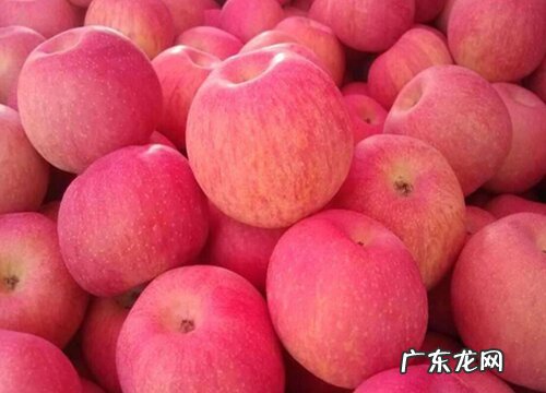 坟上摆放吉祥水果一般几个 上坟最好的五种水果数量