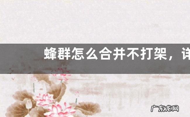 蜂群怎么合并不打架,详细如下