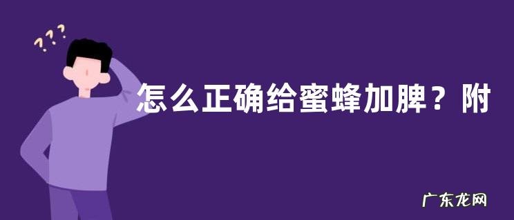怎么正确给蜜蜂加脾？附具体描述