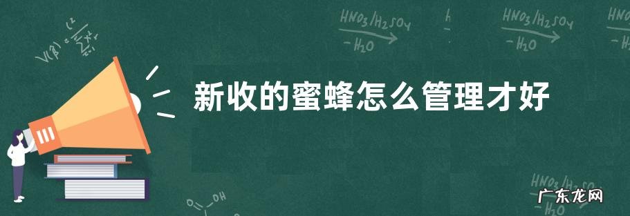 新收的蜜蜂怎么管理才好，如何严防病虫危害