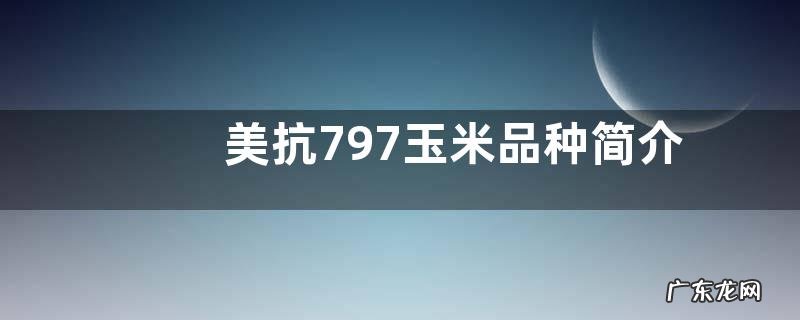 mk797玉米种子特性介绍 美抗797玉米品种简介
