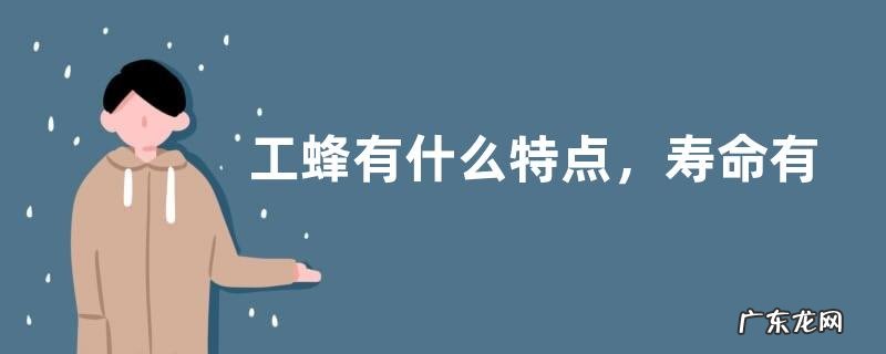 工蜂有什么特点，寿命有多长