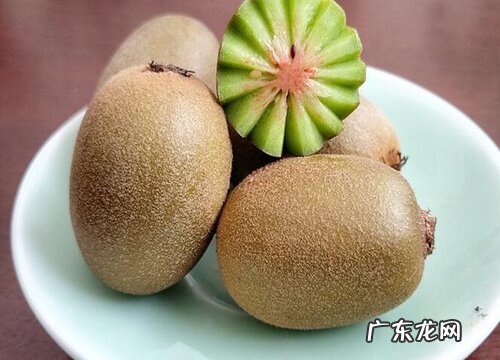 猕猴桃树零下15度会冻死吗 猕猴桃零下几度会冻坏