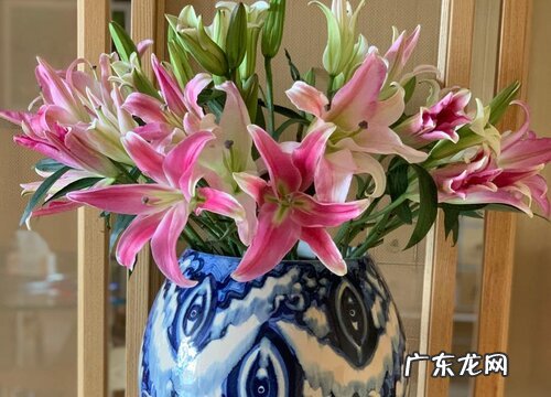 鲜花要拿掉花网再摘掉叶子吗 醒花要不要去掉叶子