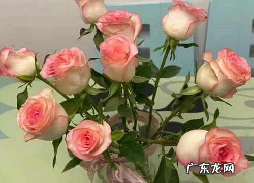 鲜花要拿掉花网再摘掉叶子吗 醒花要不要去掉叶子