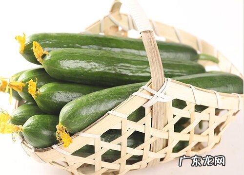 黄瓜存放时间最长的储存方法 黄瓜怎么保存时间长新鲜