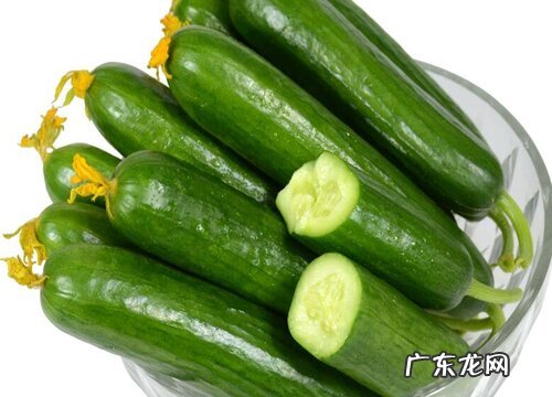 黄瓜存放时间最长的储存方法 黄瓜怎么保存时间长新鲜