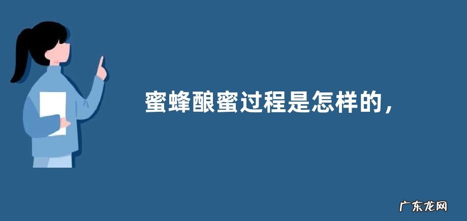 蜜蜂酿蜜过程是怎样的,详细介绍