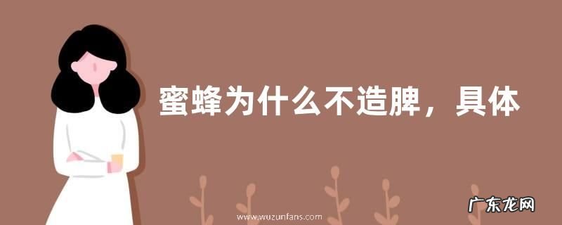 蜜蜂为什么不造脾,具体分析