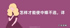 怎样才能使中蜂不逃，详细介绍