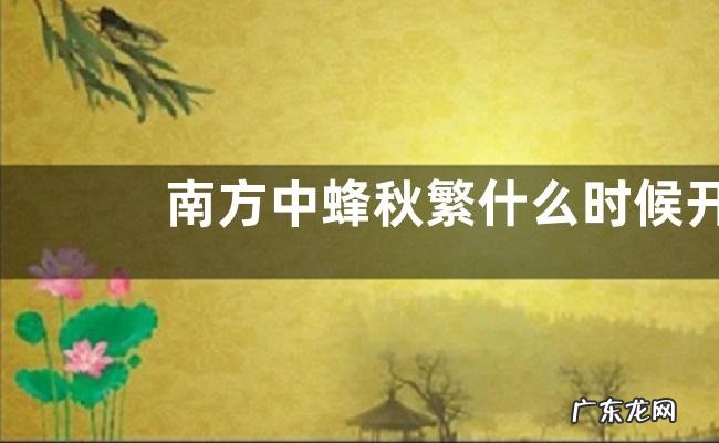 南方中蜂秋繁什么时候开始,附注意事项