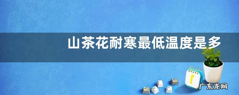 茶花盆栽冬季多少度能过冬 山茶花耐寒最低温度是多少
