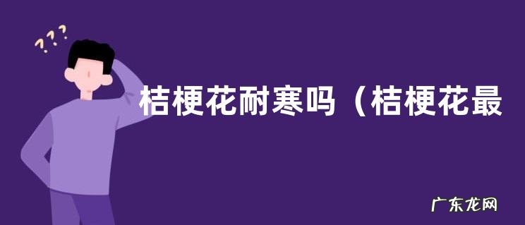 桔梗花最低耐寒温度及过冬方法 桔梗花耐寒吗