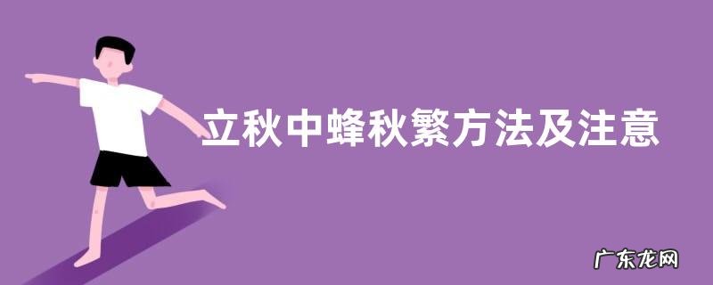 立秋中蜂秋繁方法及注意事项,附秋繁目的