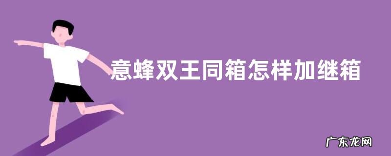 意蜂双王同箱怎样加继箱,什么是意蜂双王同箱