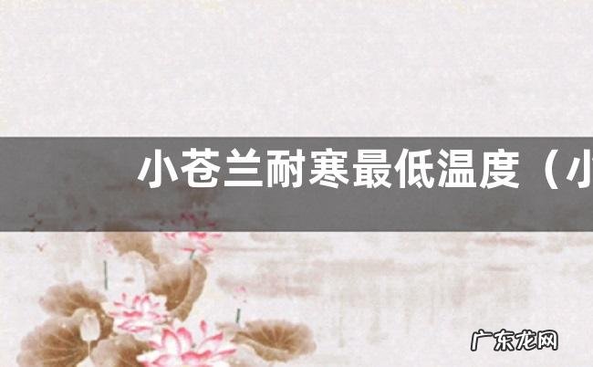 小苍兰冬季养护的方法 小苍兰耐寒最低温度