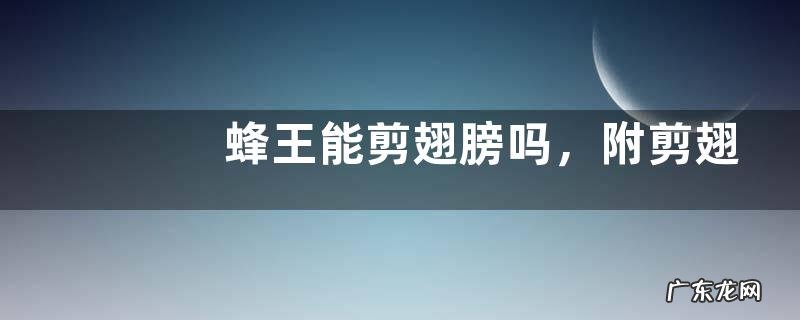 蜂王能剪翅膀吗,附剪翅危害