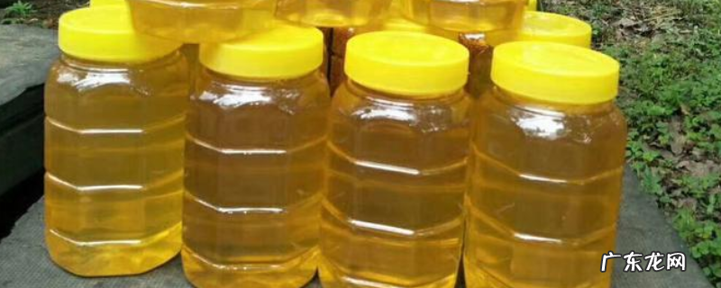 柑橘蜜真的好吗,附蜜种特征