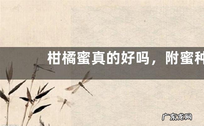 柑橘蜜真的好吗,附蜜种特征