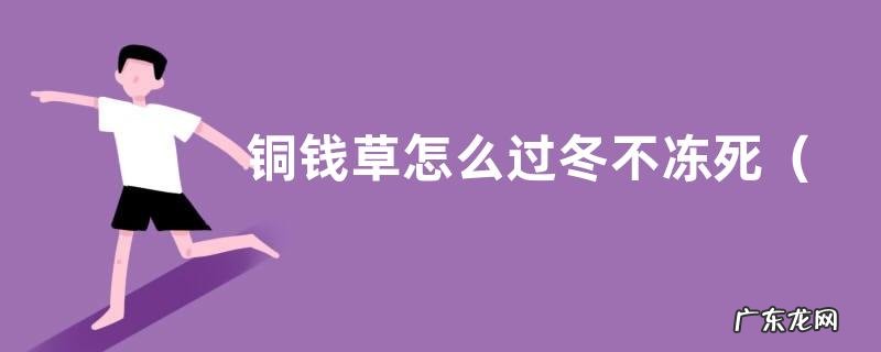 水培铜钱草冬天怎么养能安全越冬 铜钱草怎么过冬不冻死