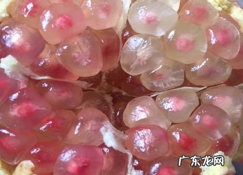 扁桃体炎吃什么水果最好 发炎吃什么水果好得快