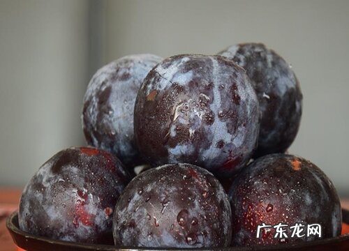 黑色的水果有哪些 5种外皮是黑色的水果图片及名称