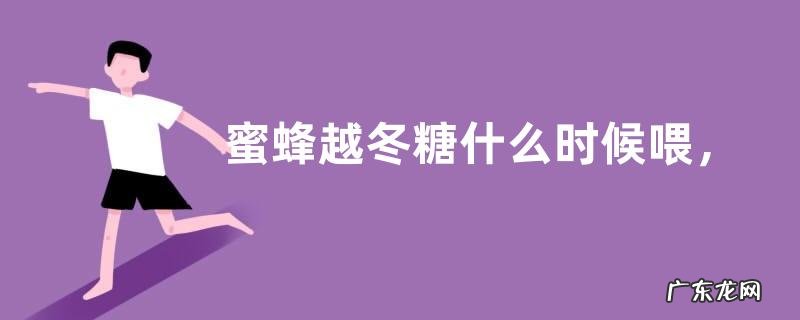 蜜蜂越冬糖什么时候喂,附饲料配制