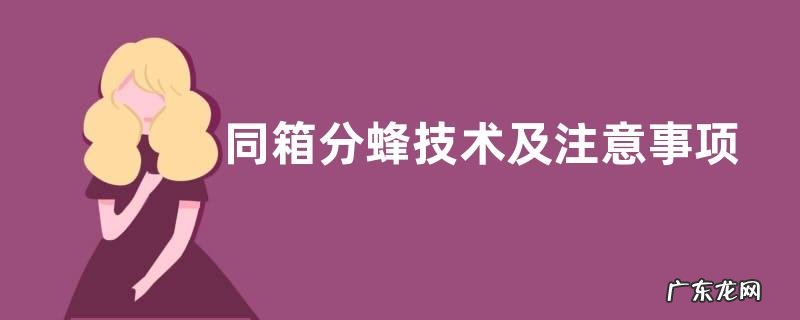 同箱分蜂技术及注意事项,详细如下