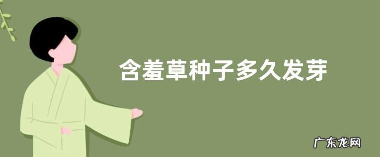 含羞草种子多久发芽