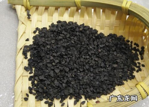 葱种子怎么来的 怎么获得