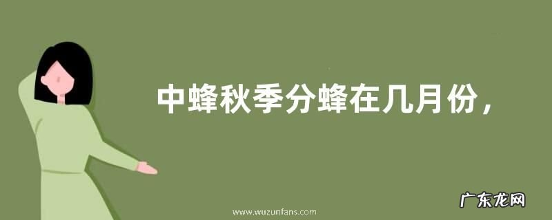 中蜂秋季分蜂在几月份,附分蜂征兆、过程及注意事项