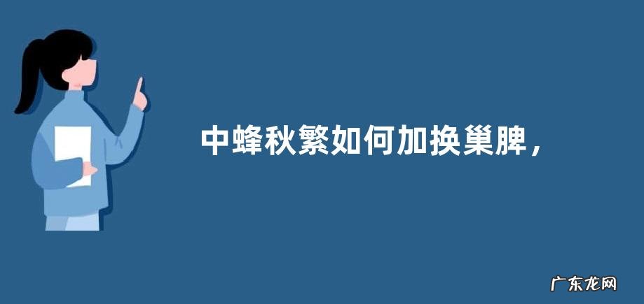 中蜂秋繁如何加换巢脾，中蜂换脾过程和注意事项