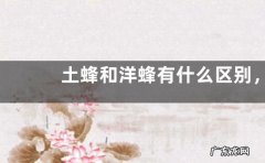 土蜂和洋蜂有什么区别，详细介绍