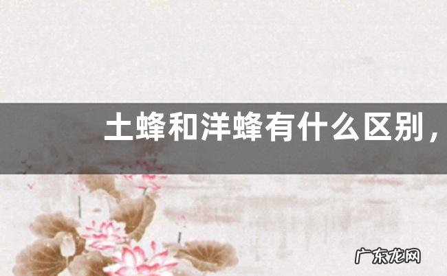 土蜂和洋蜂有什么区别,详细介绍
