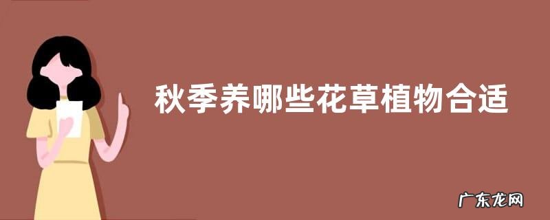 秋季养哪些花草植物合适