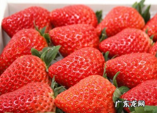 含糖低的水果排行榜 含糖量最低的水果排名表