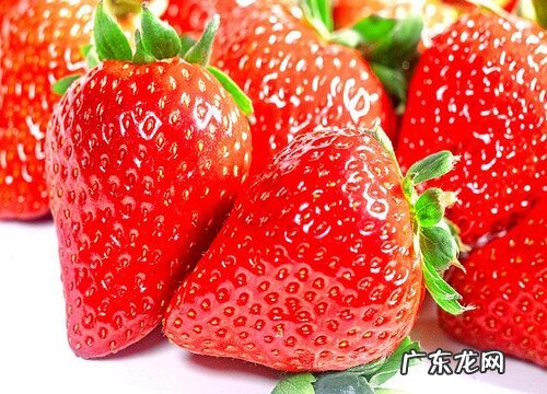 含糖低的水果排行榜 含糖量最低的水果排名表