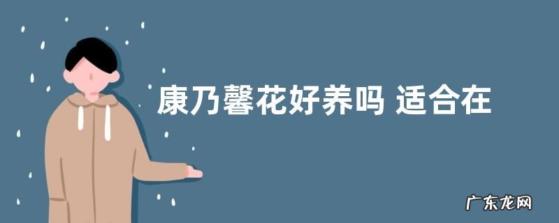 家庭养法 康乃馨花好养吗 适合在室内养吗