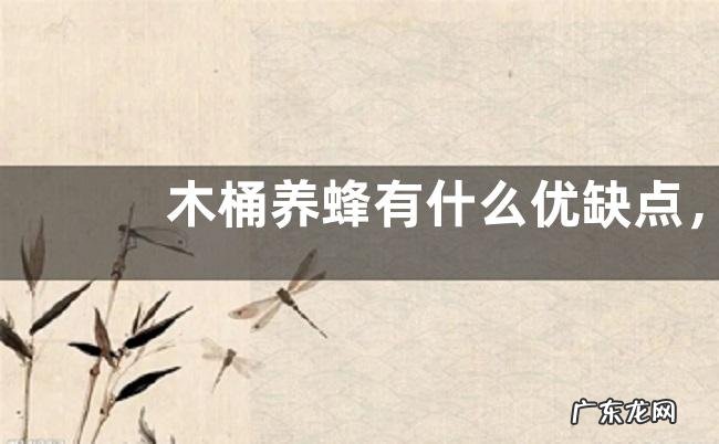 木桶养蜂有什么优缺点，详细介绍