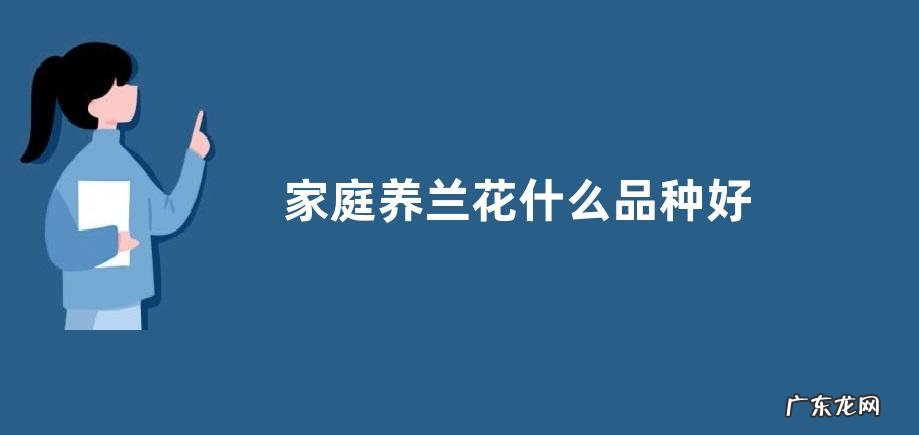 家庭养兰花什么品种好 什么品种最好最适合家养