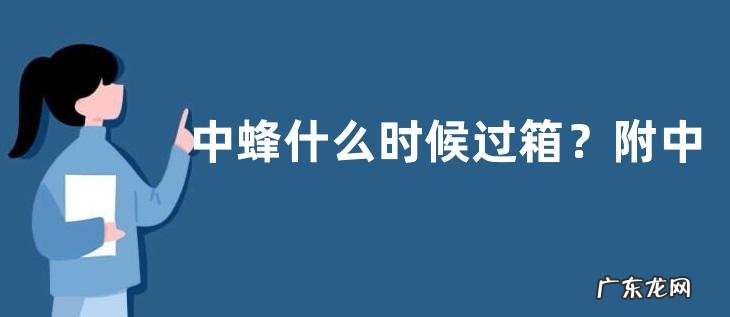 中蜂什么时候过箱？附中蜂过箱需要的条件