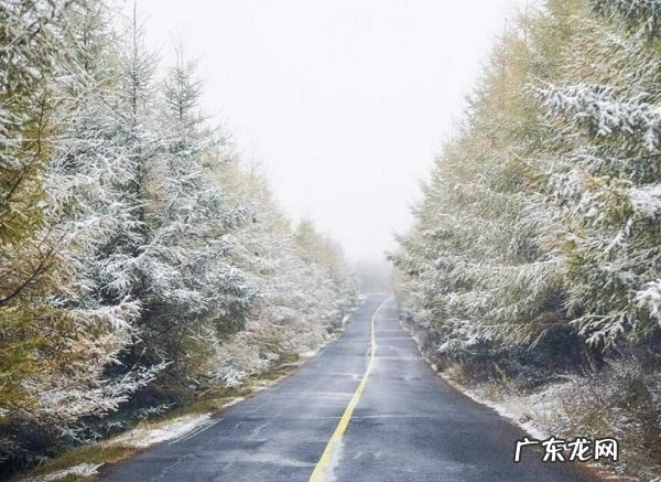 全国多地迎入秋后首场降雪 各地陆续迎来降雪