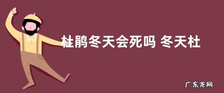 杜鹃冬天会死吗 冬天杜鹃花怎么不会让它死