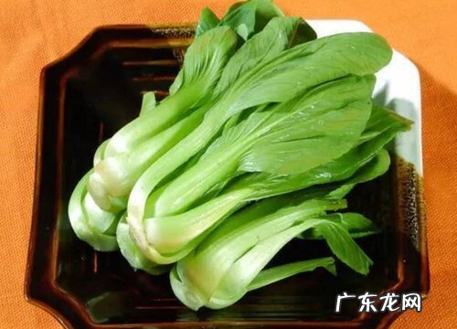 油菜和棠菜是一种菜吗
